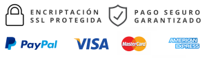 pago seguro encriptado